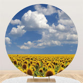 Sonnenblumen Und Blau Himmel Weiß Wolke Geburtstag Hintergrund